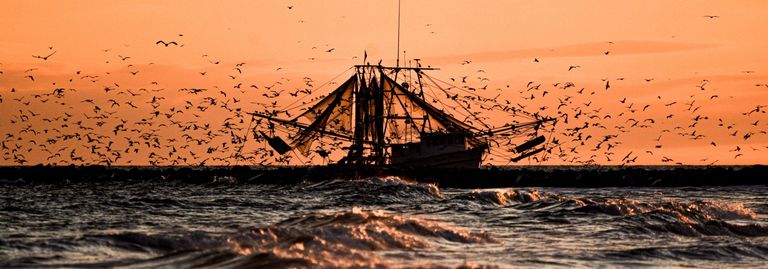 Inshore Guided Fishing Charter in Galveston for Speckled Trout, Redfish, and More (PM)
